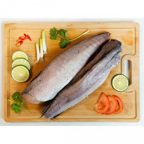 Whiting Fish